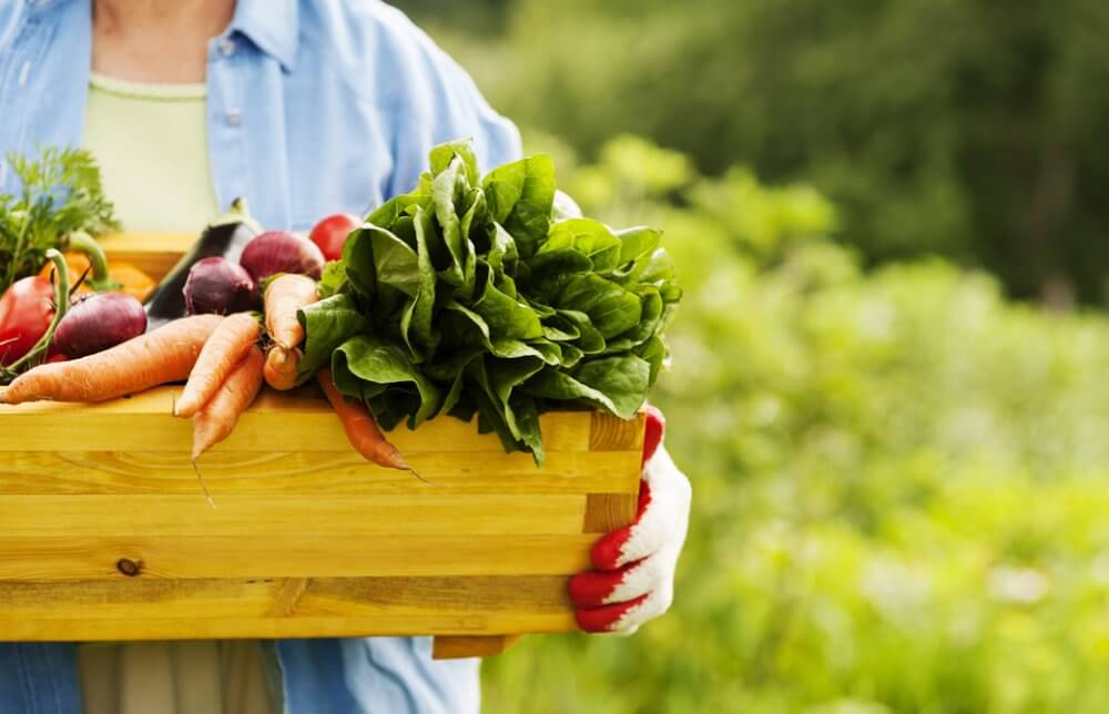 野菜の入った木箱を抱える人