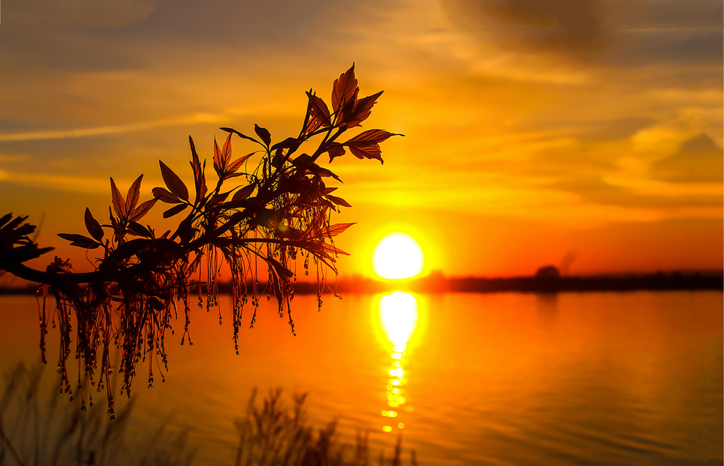 川面に映る夕日