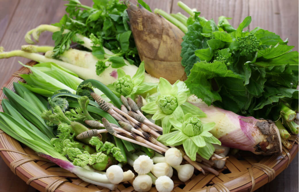 苦味がクセになる春野菜