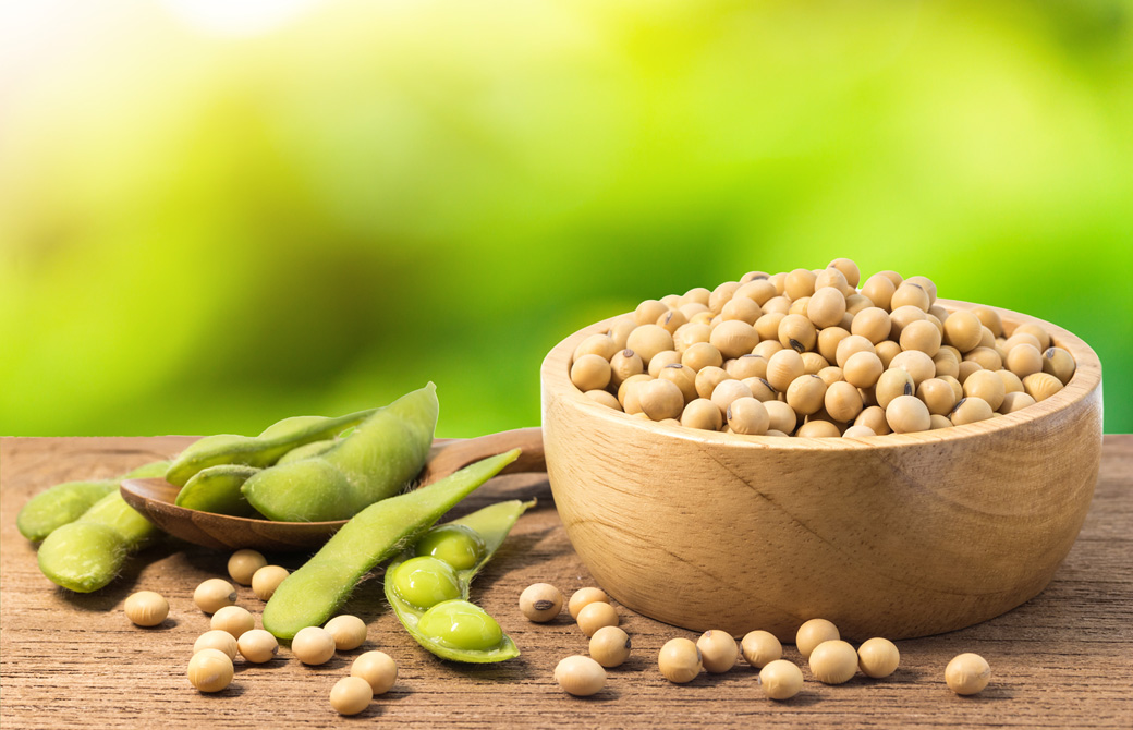 枝豆と大豆