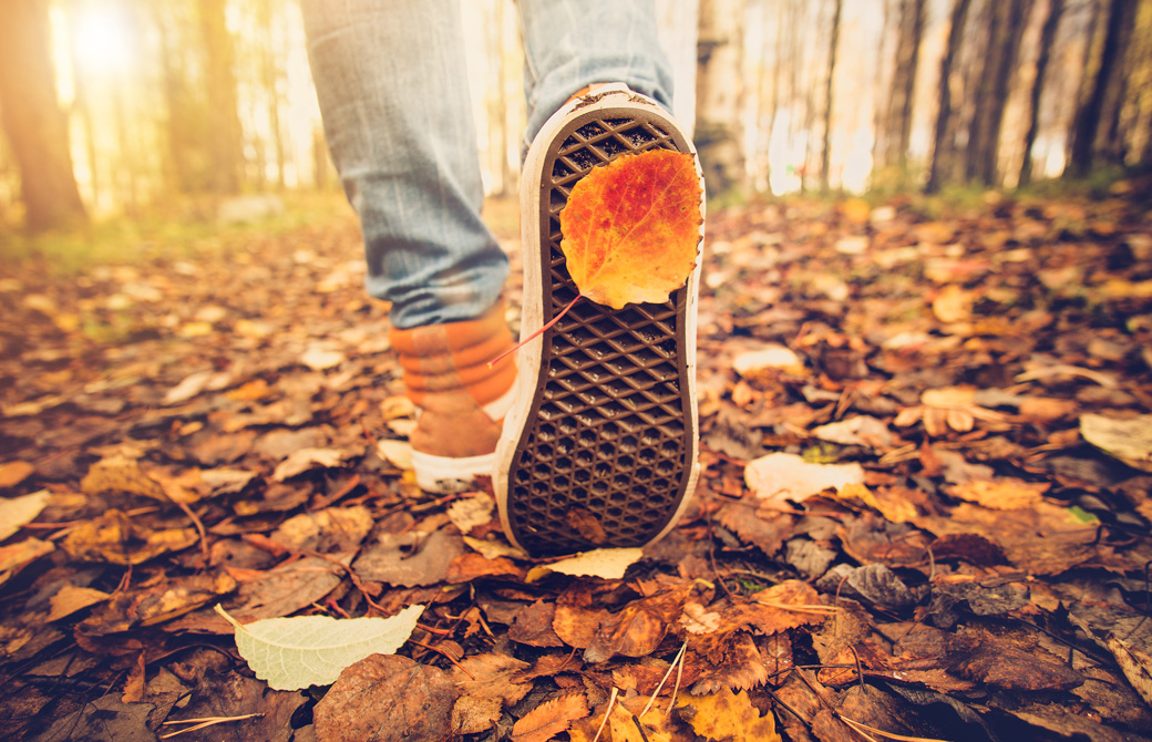 落ち葉の中を歩いている人の足