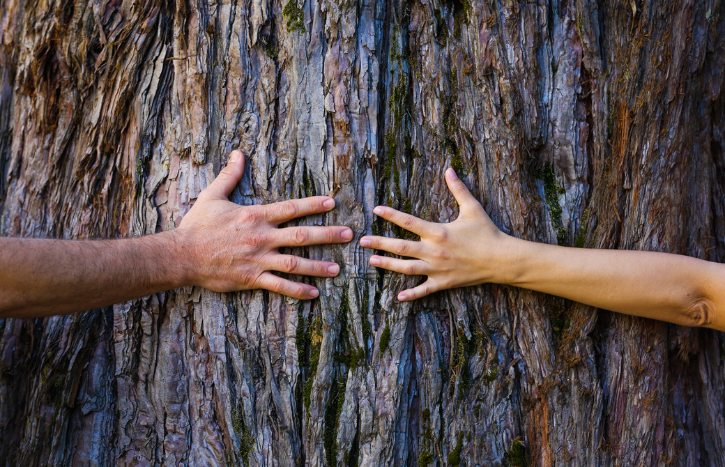 大木をハグするように手を伸ばす男女の手