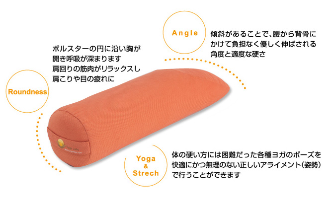 アングルドボルスターの概要