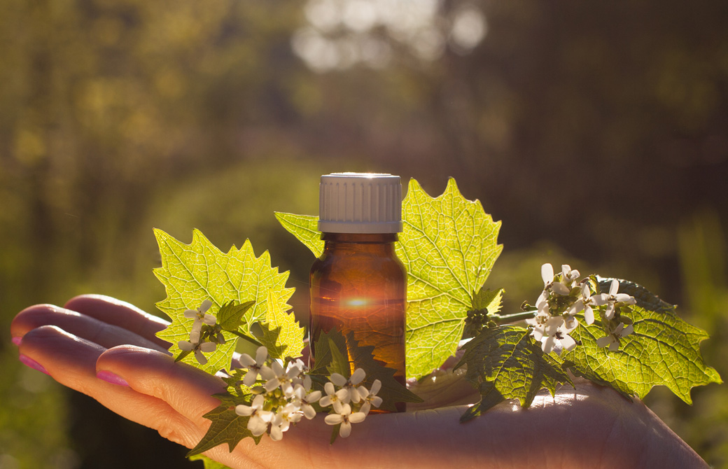 女性の手のひらの上にのったアロマオイルの小瓶