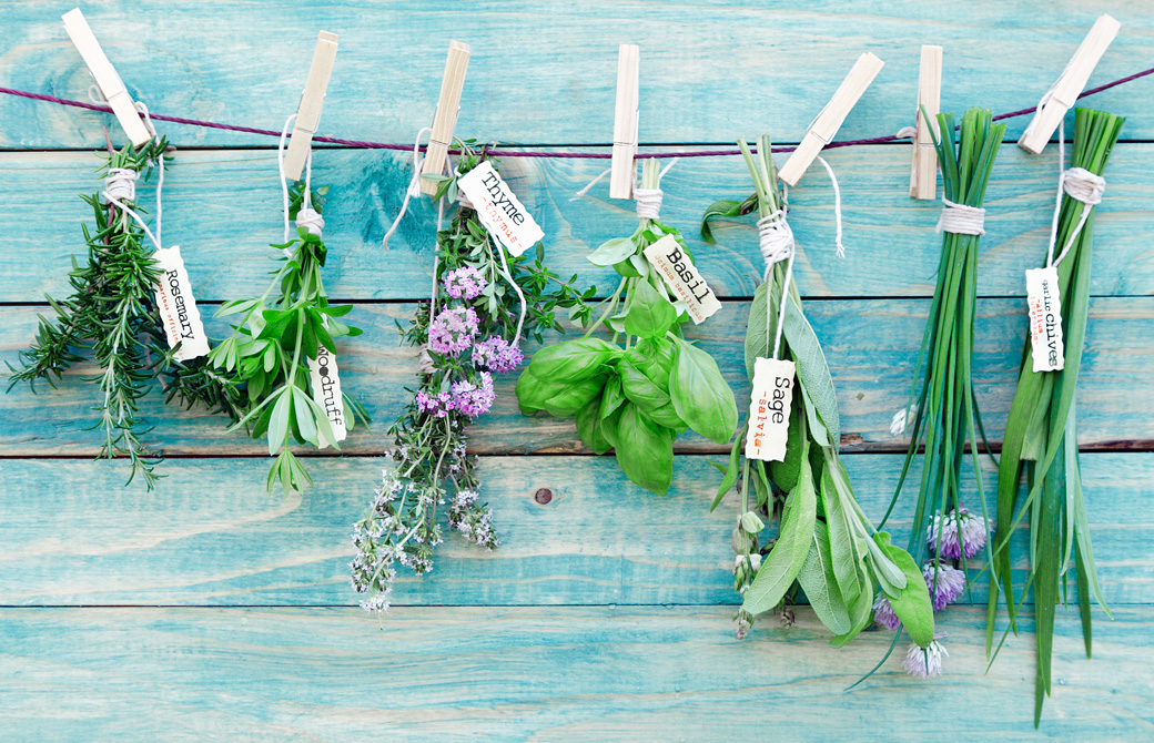 ネームタグのついたハーブ