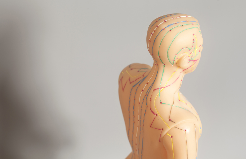 経絡が示された人体模型