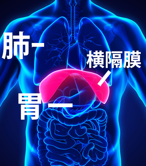 空腹状態のほうが、深い呼吸がしやすい!