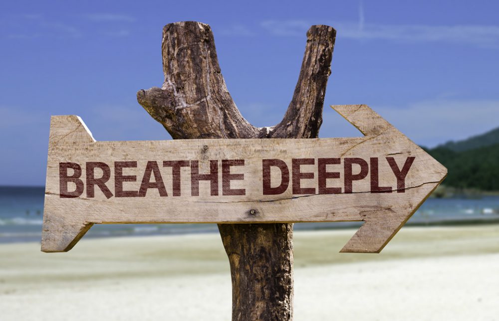 ビーチの木に「BREATHE DEEPLY」の標識がかかっている