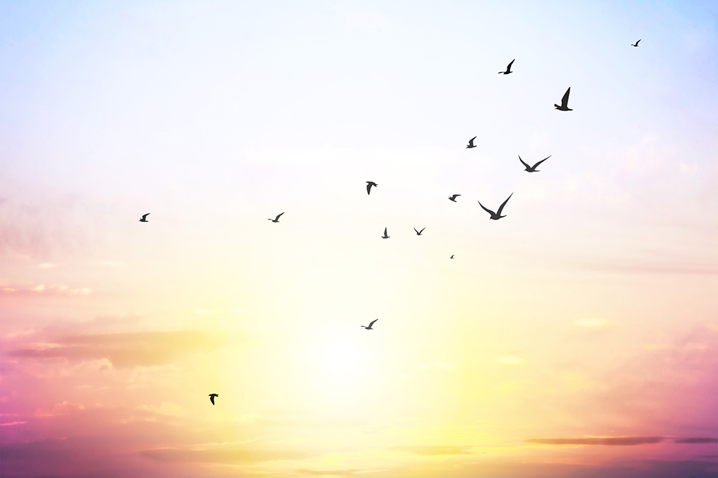 大空のような自由な心