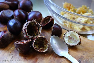 茹でた栗に切り込みを入れて中身をボウルに取り出す