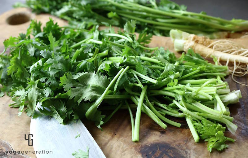 カッティングボードの上にパクチー
