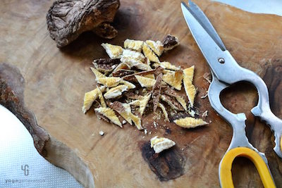 乾燥椎茸をハサミで刻んだところ