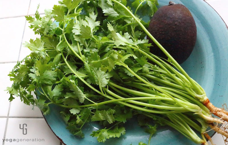 青い皿にのったアボカドとパクチー