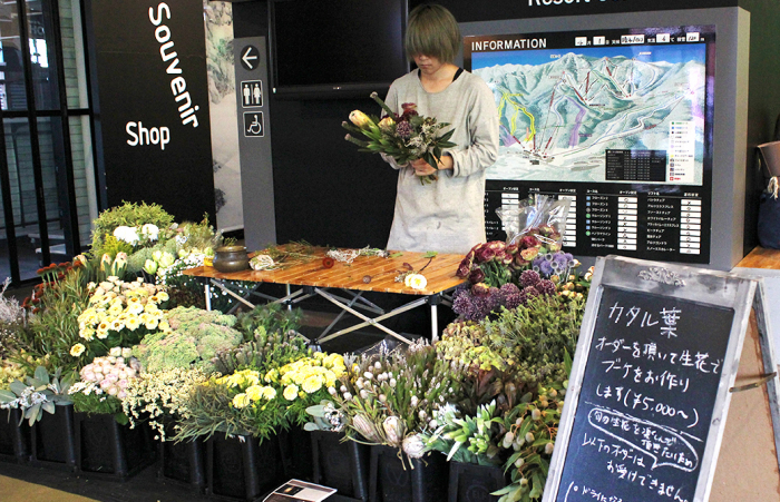 カタル葉の花々