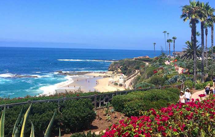 ヘルシーにこだわった食のレポート