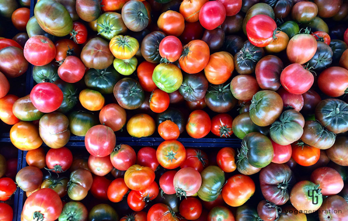 ファーマーズマーケットのトマト