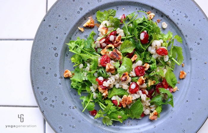 グレーの皿に乗った押し麦とクランベリーのハーブ・サラダ﻿