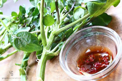 クレソンとナンプラーに浸した唐辛子