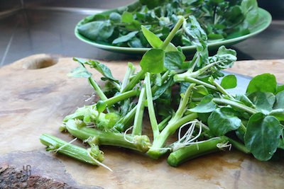 ざく切りにしたクレソン