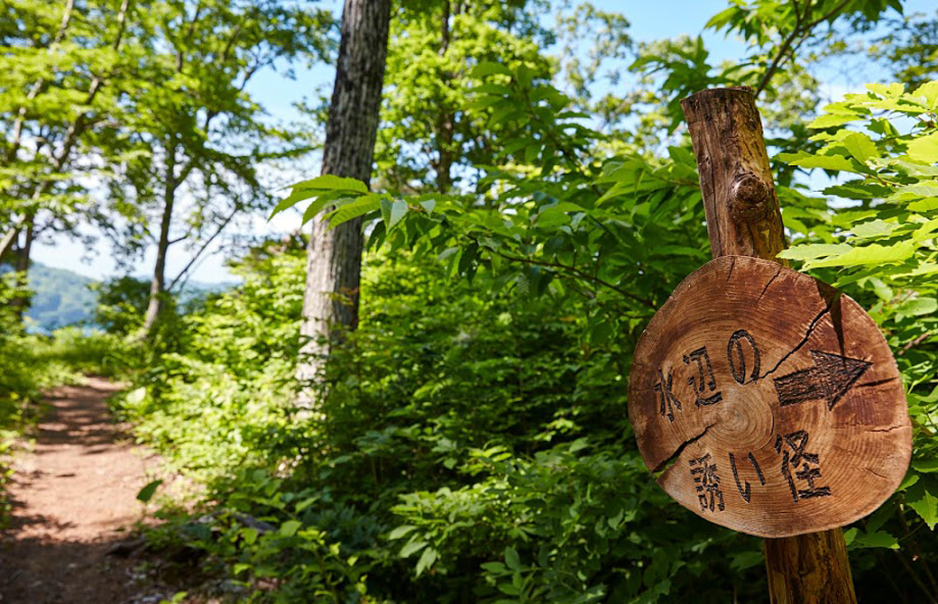 野尻湖ホテル エルボスコ森の小道