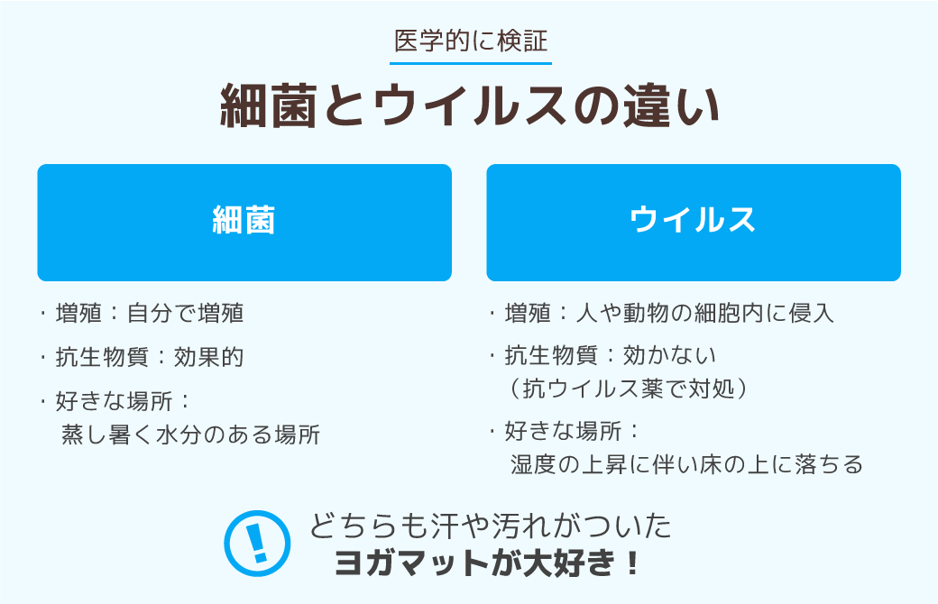 細菌とウイルスの違い