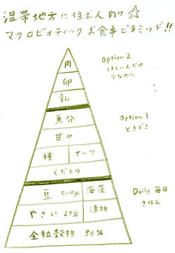 温帯地域に住む人の食物の基準ピラミッド