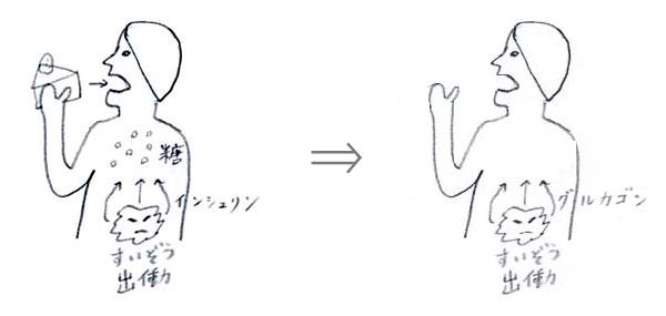 糖分摂取時の膵臓のイメージ