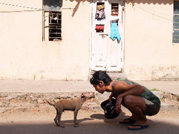 犬と更科有哉氏