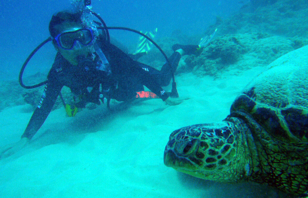 Mahokoがスキューバダイビングでウミガメと遭遇した様子