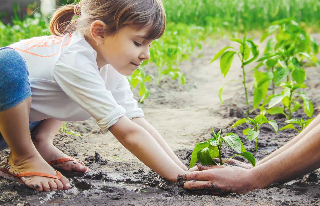 アヒムサ(非暴力)とは、他人に暴力を行わないこと。他人を傷つけないことは、自分を大切にする行為。