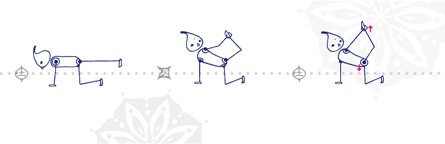 さらに難易度の高い猫のポーズに挑戦!