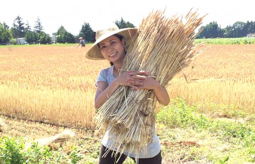 藁を抱えた田村佳世さん＠岩手