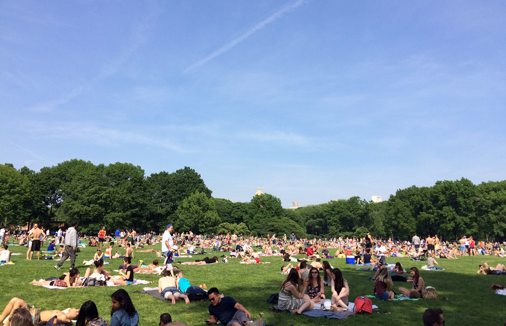 Mahokoのブログ セントラル・パークでピクニックをする大勢のひとたち