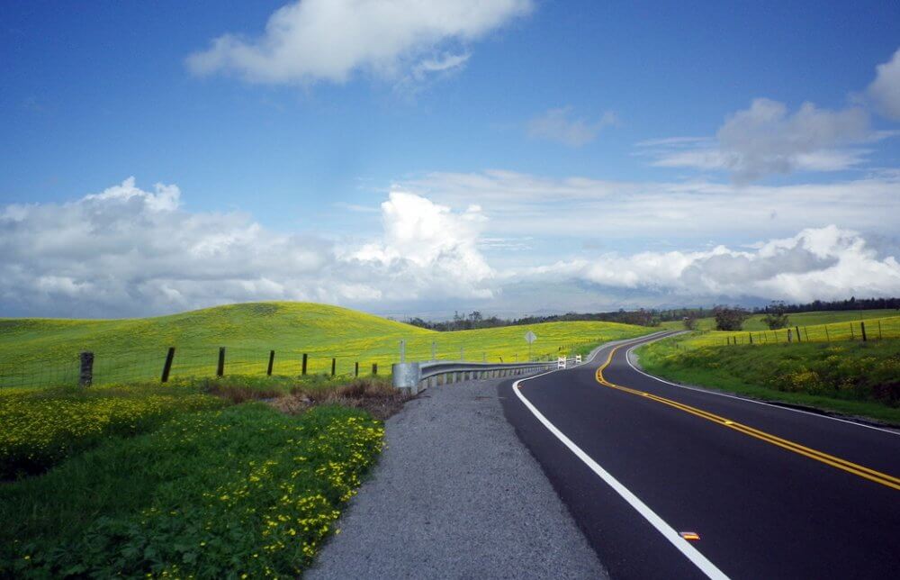 mahokoのブログ ハワイ島の長く続く田園風景