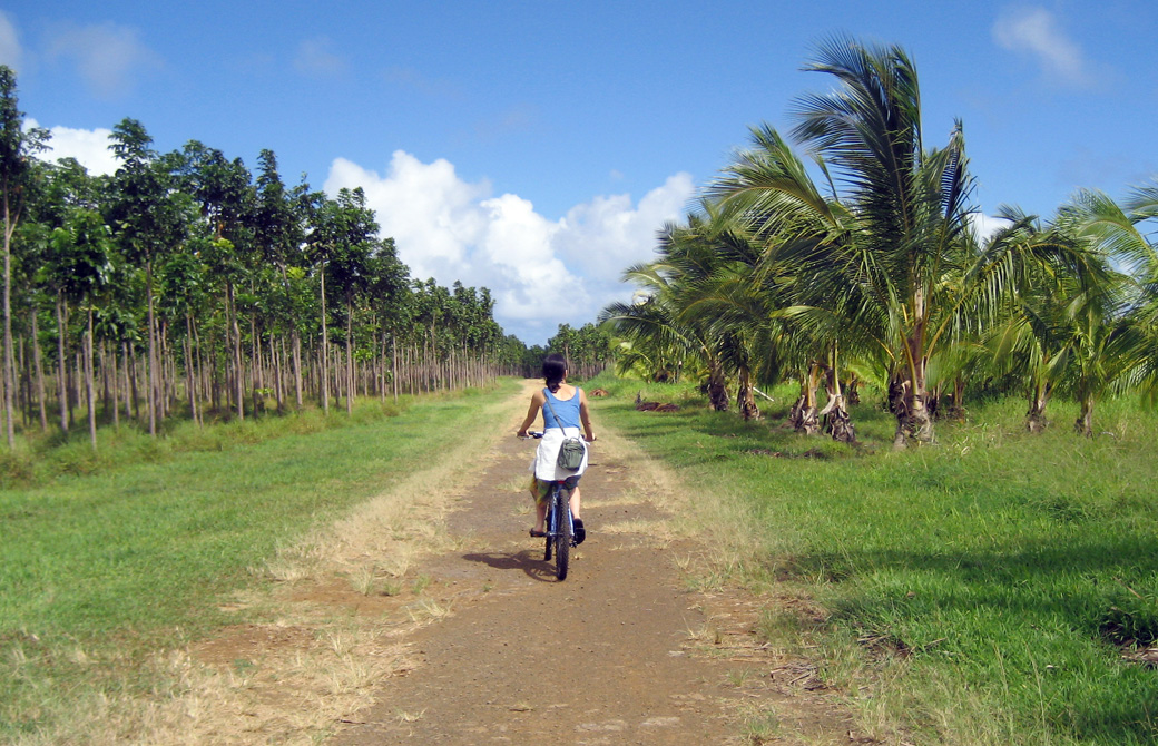 Mahokoのブログ カウアイ島でサイクリングをしているMahokoの後ろ姿