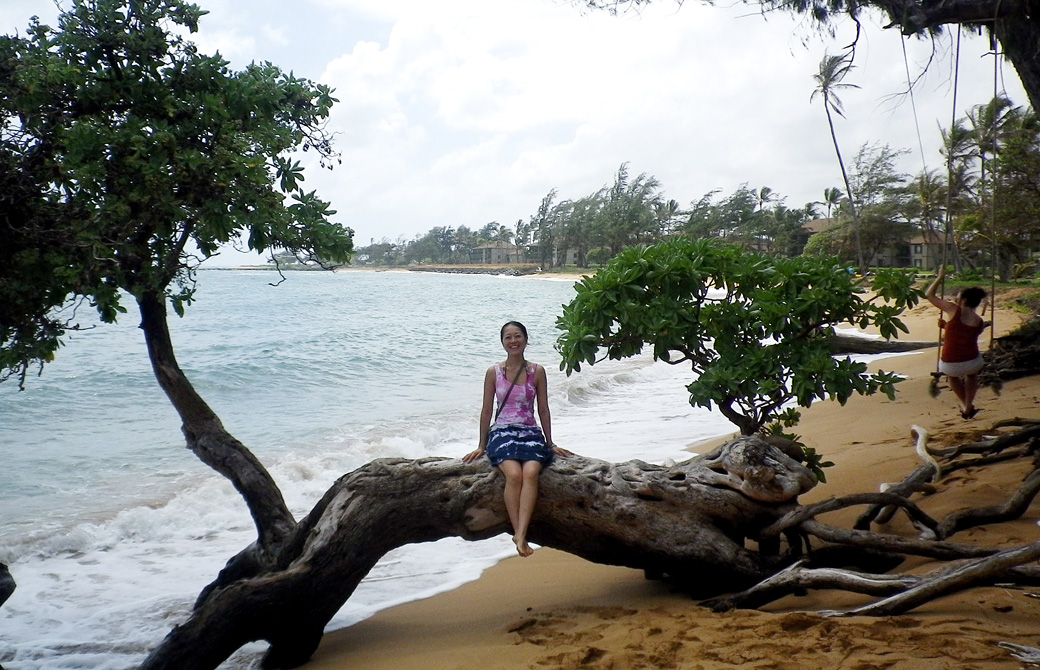 mahokoのブログ:カウアイ島のビーチで木に座っている