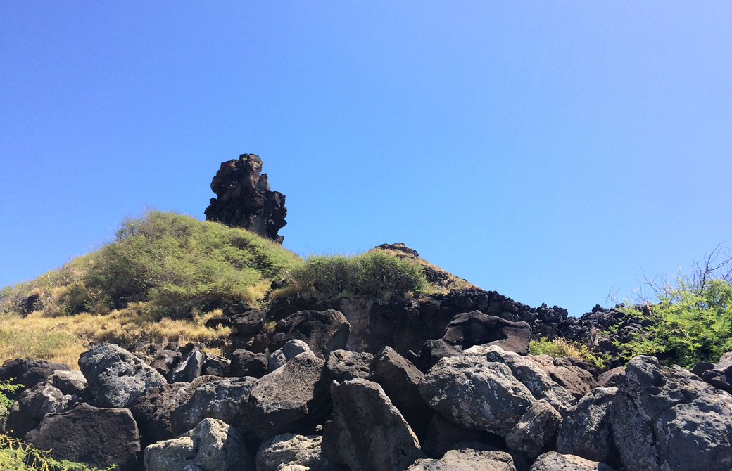 mahokoのブログ ペレの椅子を下から見たところ