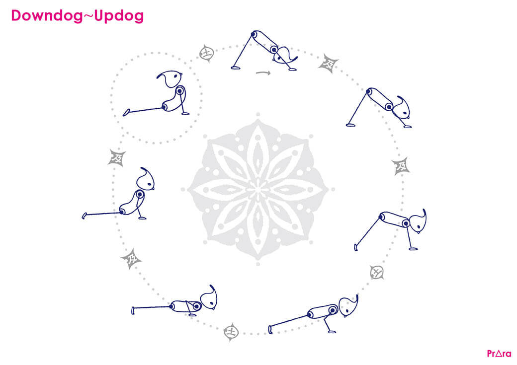 ダウンドックからアップドッグ