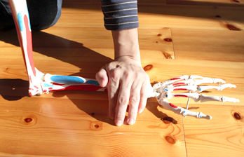 骨模型を上から手で押さえている