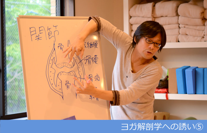 ヨガ解剖学への誘い⑤～ヨガ解剖学とアサナテクニックの違いについて（後編）～