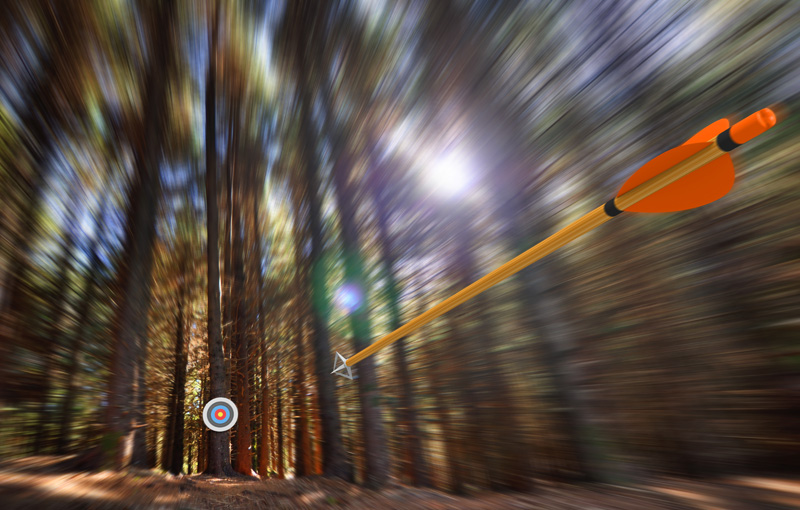 森の中ではなたれる矢と的