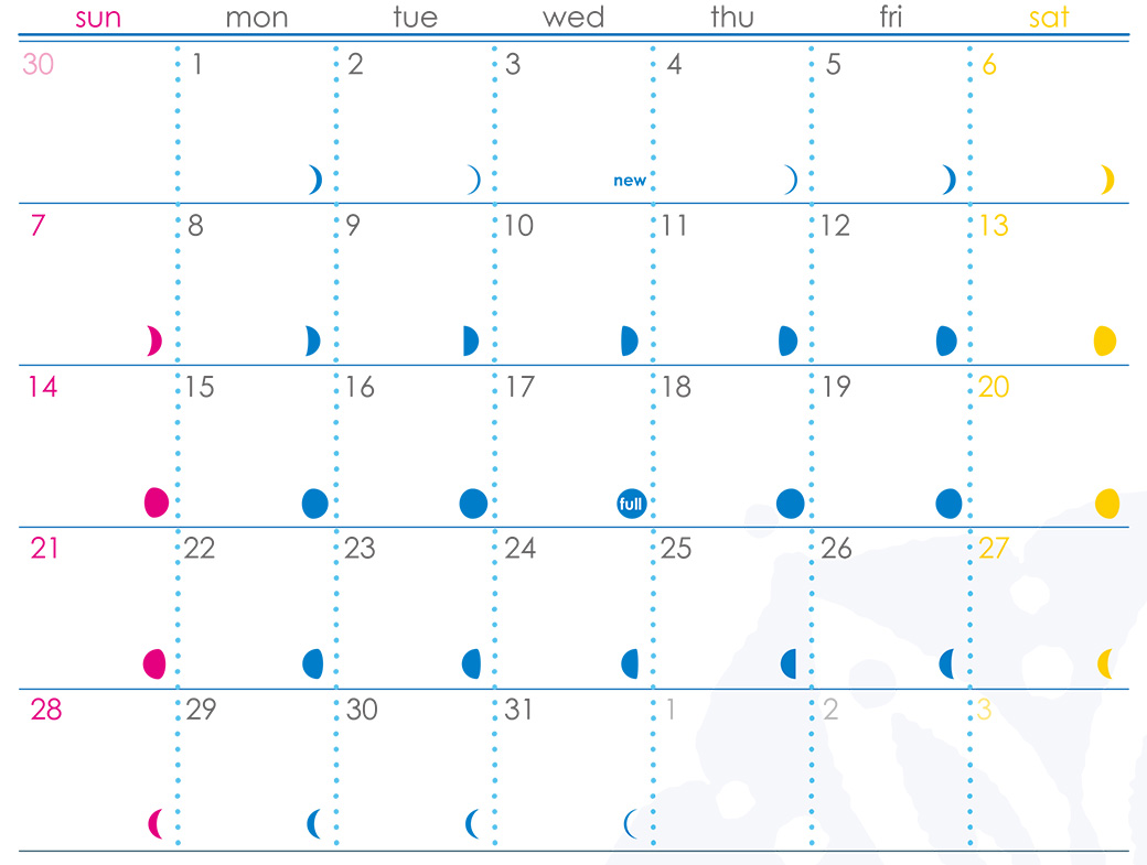 プラーラ×ヨガジェネ7月のカレンダー：月の流れがわかる！