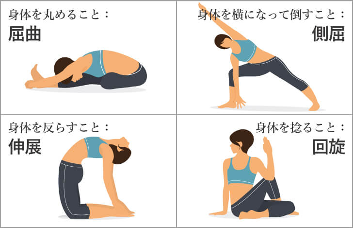 脊柱の基本的な動きの名称