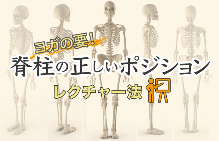 ヨガの要！“脊柱の正しいポジション”のレクチャー法