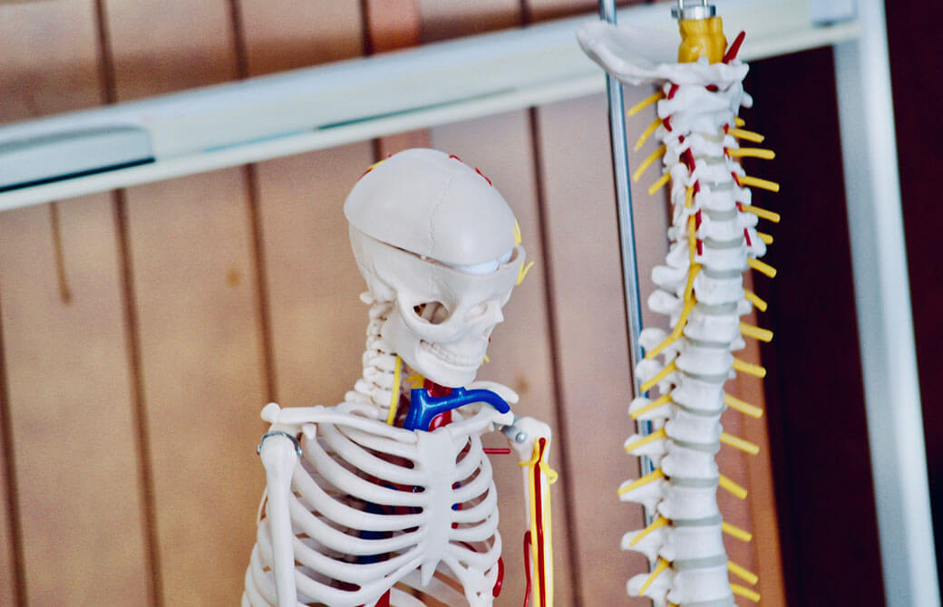 「MTY 100医師に聞くヨガの話」では、生理学のほか、整形外科学や精神医学の講座も展開