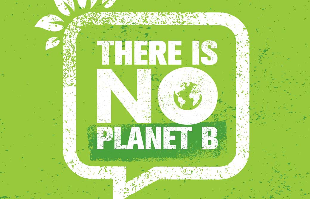 国際ベジタリアン連合で、正式に認められているベジタリアンはたったの4種類