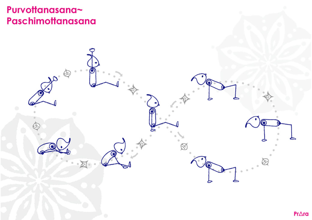 呼吸に合わせ、よりダイナミックにパスチモッターナーサナを深める手順