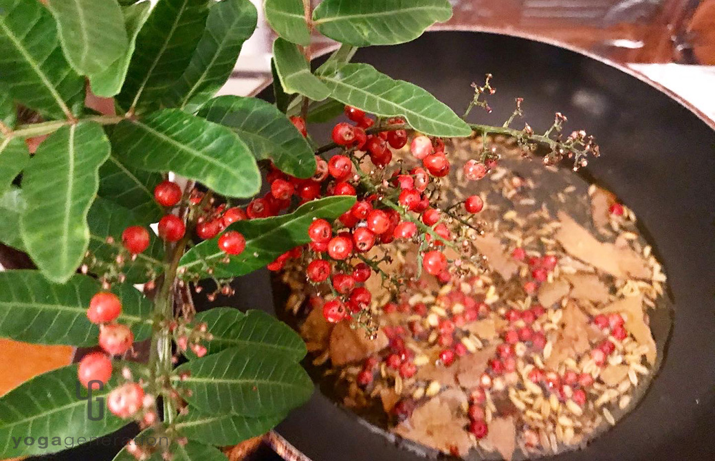 マウイ島の庭先のレッドペッパー