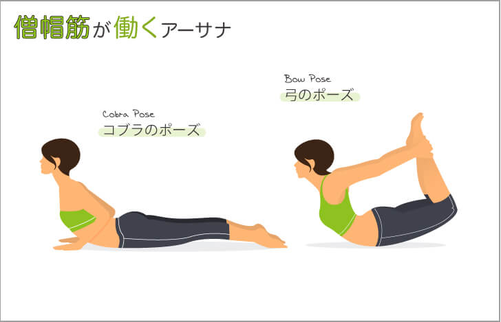 僧帽筋が働くアーサナ