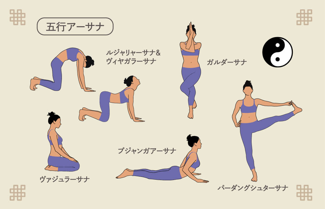 五臓六腑に効くおすすめアーサナ